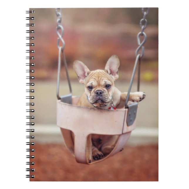 Cutest Baby djur | Fransk Bulldog Playground Anteckningsbok (Framsidan)
