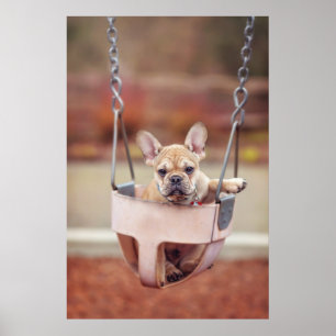 Cutest Baby djur Fransk Bulldog Playground Poster