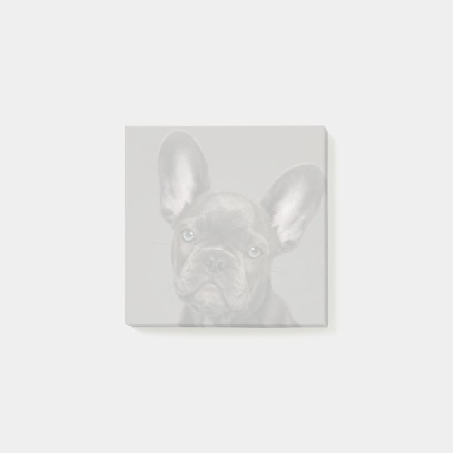 Cutest Baby djur | Fransk Bulldog Post-it Block (Framsida)