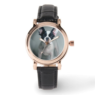 Cutest Baby djur   Fransk Bulldog Puppy Armbandsur