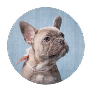 Cutest Baby djur   Fransk Bulldog Rosa Bow