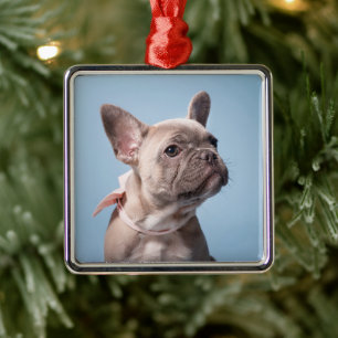 Cutest Baby djur   Fransk Bulldog Rosa Bow Julgransprydnad Metall