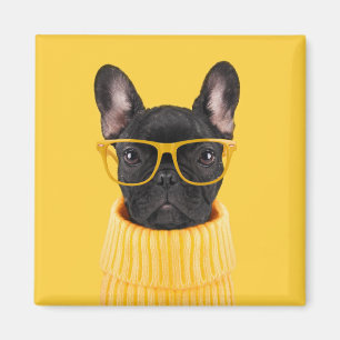 Cutest Baby djur   Fransk Bulldog Sunglass Magnet