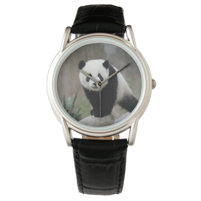 Cutest Baby djur | Giant Panda Baby Armbandsur (Framsida)