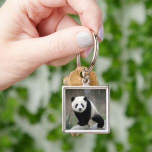 Cutest Baby djur Giant Panda Baby Fyrkantig Silverfärgad Nyckelring