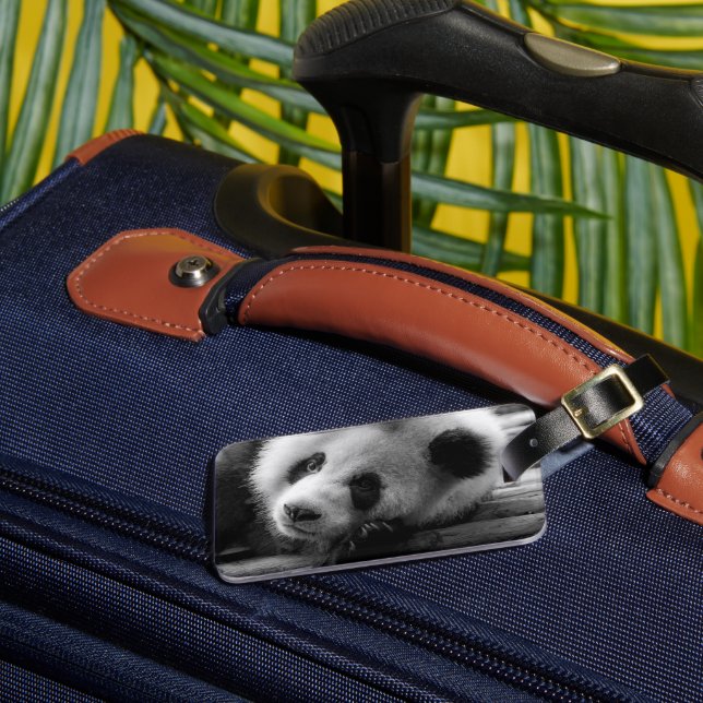 Cutest Baby djur | Giant Panda Bear Unge Bagagebricka (Framsida Insitu 3)
