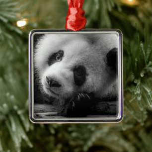 Cutest Baby djur Giant Panda Bear Unge Julgransprydnad Metall