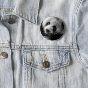 Cutest Baby djur Giant Panda Bear Unge Knapp