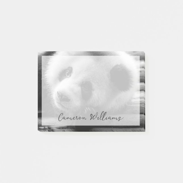 Cutest Baby djur | Giant Panda Bear Unge Post-it Block (Framsida)