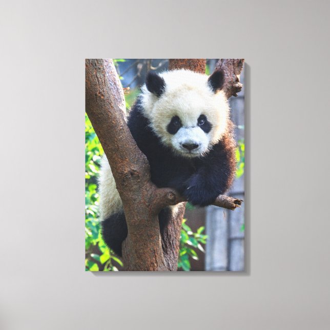 Cutest Baby djur | Giant Panda Unge Canvastryck (Framsida)