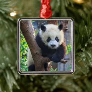 Cutest Baby djur Giant Panda Unge Julgransprydnad Metall