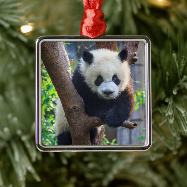 Cutest Baby djur | Giant Panda Unge Julgransprydnad Metall (Träd)