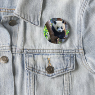 Cutest Baby djur Giant Panda Unge Knapp