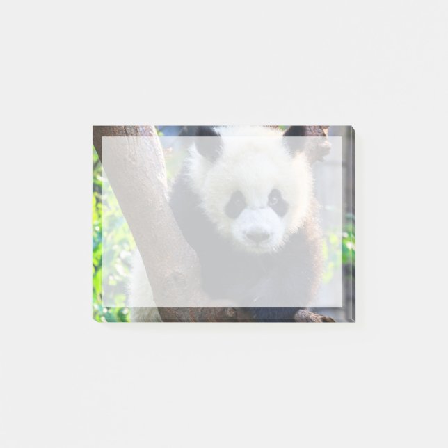 Cutest Baby djur | Giant Panda Unge Post-it Block (Framsida)