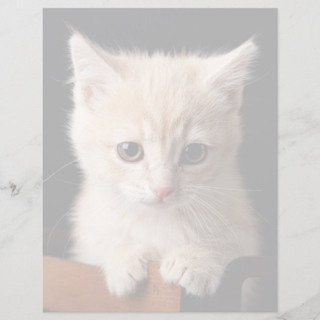 Cutest Baby djur | Ginger Kitten (Framsida)