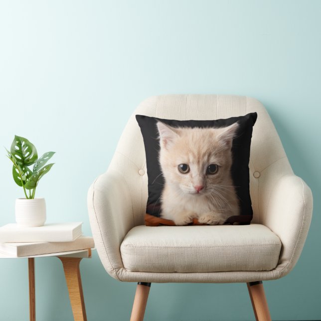 Cutest Baby djur | Ginger Kitten Kudde (Stol)