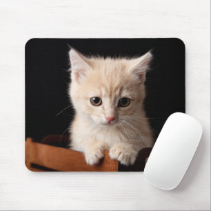Cutest Baby djur Ginger Kitten Musmatta