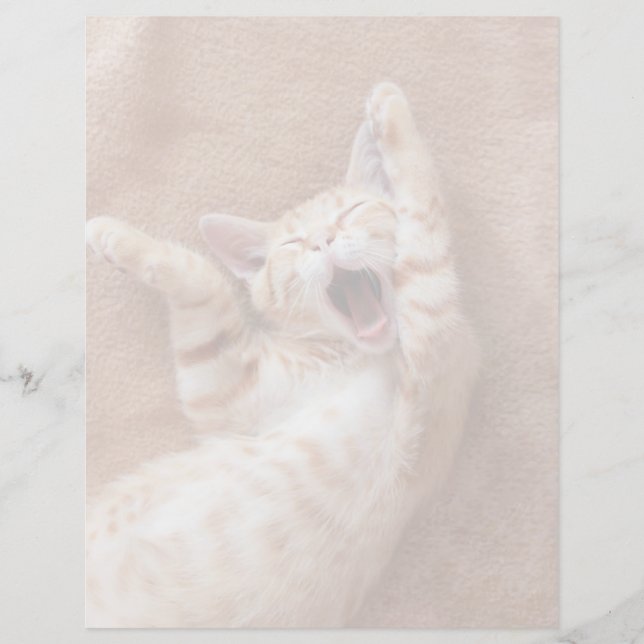Cutest Baby djur | Ginger Kitten Yawning (Framsida)
