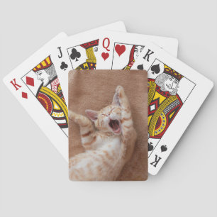 Cutest Baby djur Ginger Kitten Yawning Casinokort