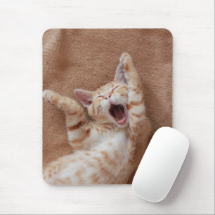Cutest Baby djur Ginger Kitten Yawning Musmatta