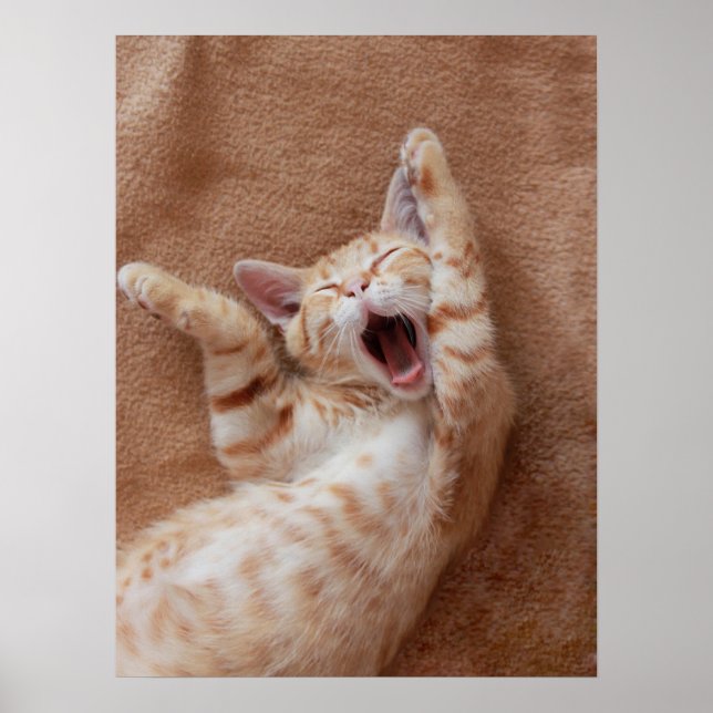 Cutest Baby djur | Ginger Kitten Yawning Poster (Framsidan)