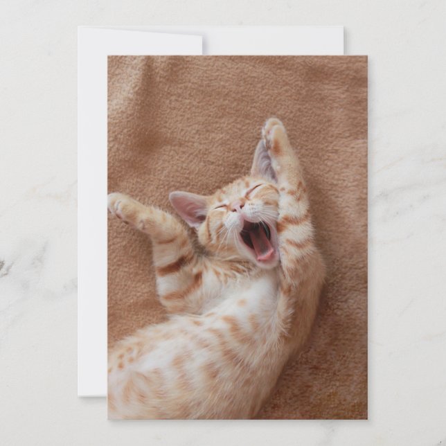 Cutest Baby djur | Ginger Kitten Yawning Tack Kort (Framsida)
