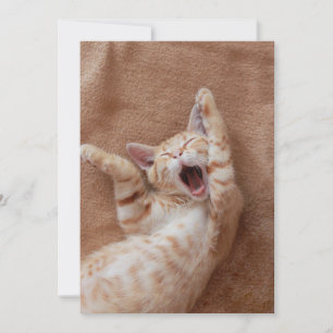 Cutest Baby djur Ginger Kitten Yawning Tack Kort
