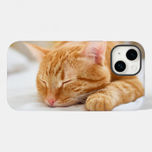 Cutest Baby djur Gingerkatt för sömnad