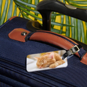 Cutest Baby djur Gingerkatt för sömnad Bagagebricka