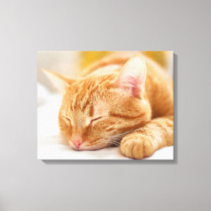 Cutest Baby djur Gingerkatt för sömnad Canvastryck