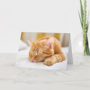 Cutest Baby djur Gingerkatt för sömnad Kort