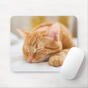 Cutest Baby djur Gingerkatt för sömnad Musmatta