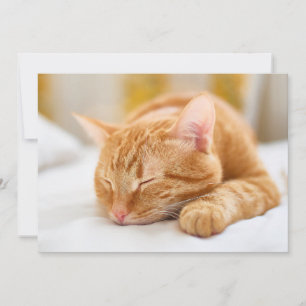Cutest Baby djur Gingerkatt för sömnad Tack Kort