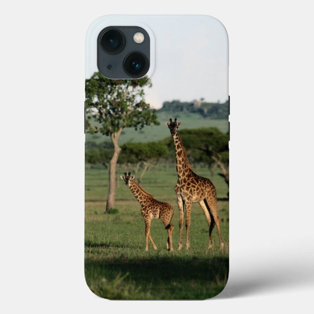 Cutest Baby djur | Giraffe Calf & Mamma (Baksida)