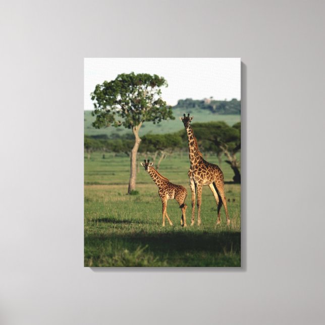 Cutest Baby djur | Giraffe Calf & Mamma Canvastryck (Framsida)