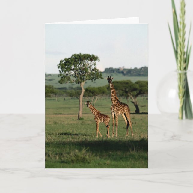 Cutest Baby djur | Giraffe Calf & Mamma Kort (Framsida)
