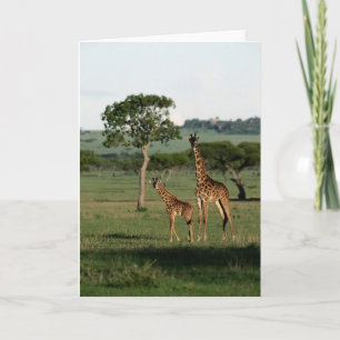 Cutest Baby djur Giraffe Calf & Mamma Kort