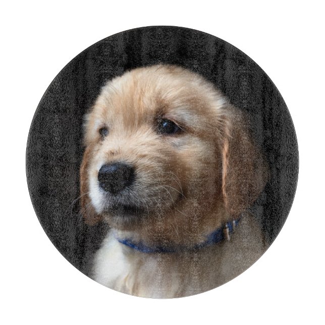 Cutest Baby djur | Golden Retriever Puppy (Framsidan)