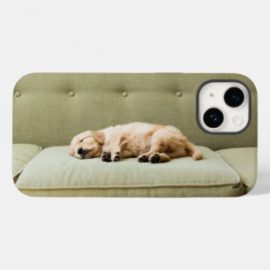 Cutest Baby djur Golden Retriever Puppy 2