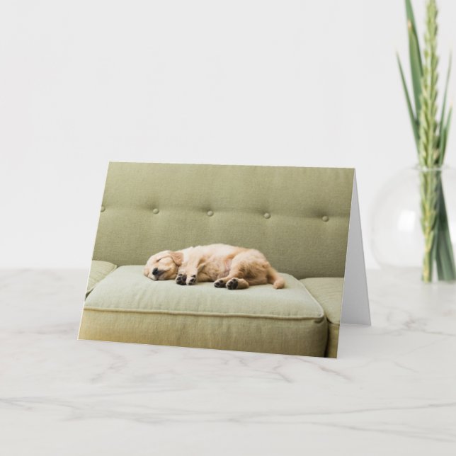 Cutest Baby djur | Golden Retriever Puppy 2 Kort (Framsida)