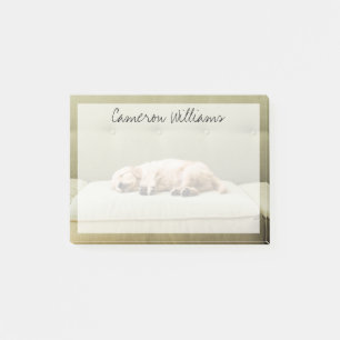 Cutest Baby djur Golden Retriever Puppy 2 Post-it Block