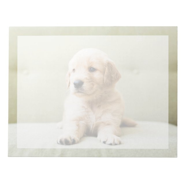 Cutest Baby djur | Golden Retriever Puppy Anteckningsblock (Framsida)