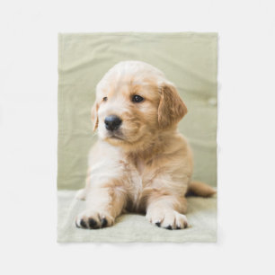 Cutest Baby djur   Golden Retriever Puppy Fleecefilt