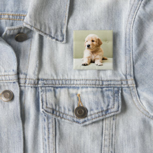 Cutest Baby djur Golden Retriever Puppy Knapp