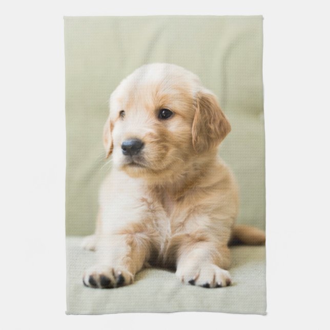 Cutest Baby djur | Golden Retriever Puppy Kökshandduk (Vertikal)