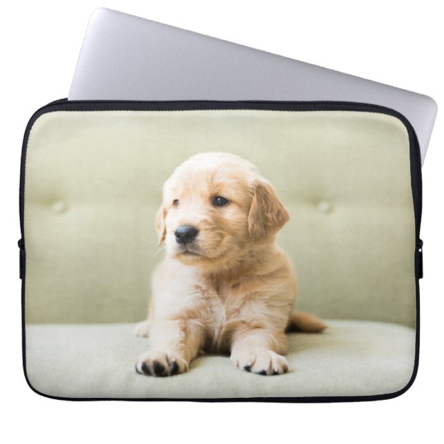 Cutest Baby djur | Golden Retriever Puppy Laptop Fodral (Framsidan)