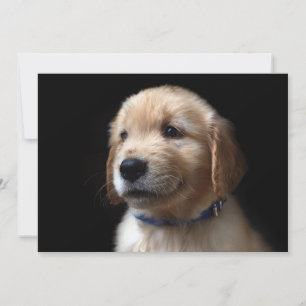 Cutest Baby djur Golden Retriever Puppy Tack Kort