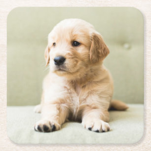 Cutest Baby djur Golden Retriever Puppy Underlägg Papper Kvadrat
