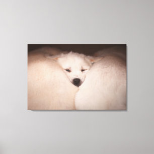 Cutest Baby djur Golden Retriever Snuggle Canvastryck
