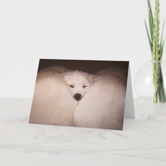 Cutest Baby djur | Golden Retriever Snuggle Kort (Framsida)